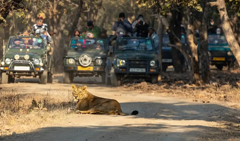 Vibrant Gujarat