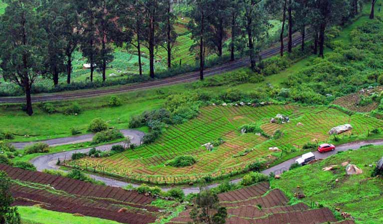 Coorg & Ooty