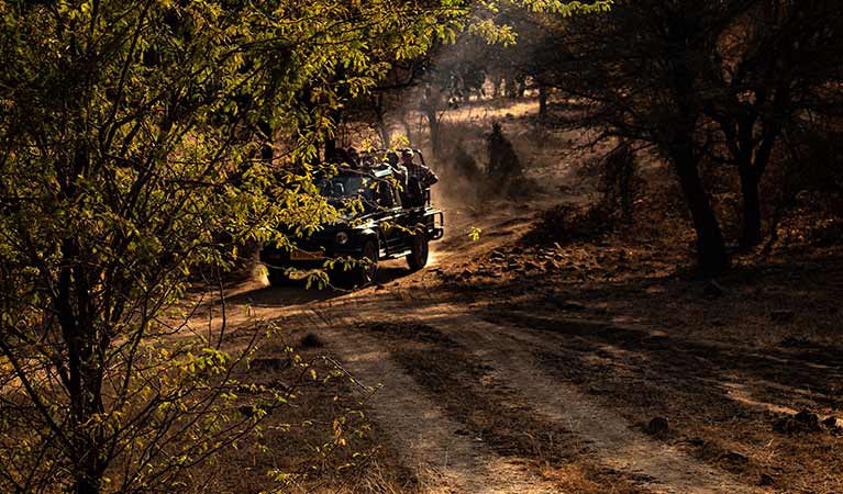 Ranthambore
